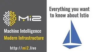 Everything you want to know about Istio