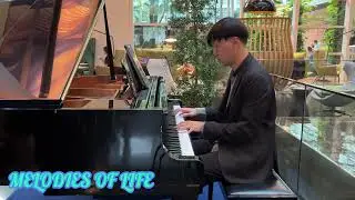 MELODIES OF LIFE (FINAL FANTASY IX) PLAY FROM MEMORY by MOSHI TERU