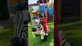 Drusillas Zoo Park UK 🇬🇧 #shorts #ytshorts #viralshorts #shortvideo
