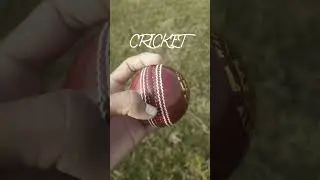 She :You boys never loyal one person #he pov cricket 🏏 #loyal #cricketer Malinga bolling  #shorts