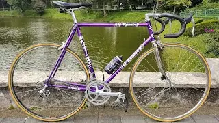 Rossin Record + full Shimano 600 groupset