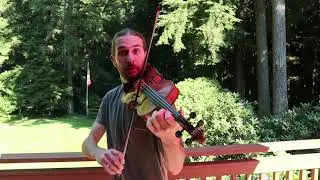fiddle: eddie moloney's (reel)