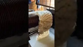 Sheep Wool From Farm to Products