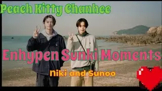 Enhypen Sunki Moments #19 - Ники и Суну