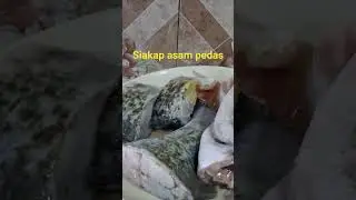 Masak Siakap Asam Pedas ⁉️‼️#asampedasikan #food ##asampedas