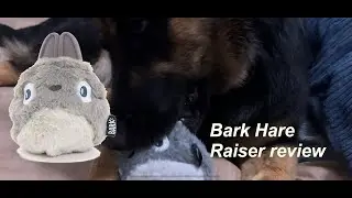 Bark Hare Raiser Review