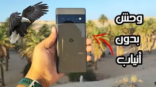 تجربتي لهاتف Google pixel 6 pro 🔥🔥 هل انصحك بشراءه في 2023 !!