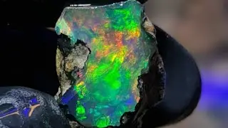 kalimaya jarong sadis🔥‼️#kalimaya #opal