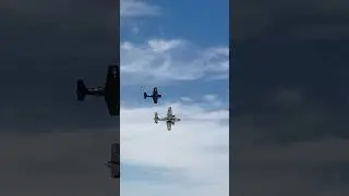 F-6F Hellcat formation with CAF PBJ#warbirds #wwii