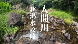 [Sweetfish Lure] How to tackle the extremely drought-filled Irumagawa River‼️