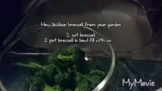 How to clean broccoli fresh from your garden