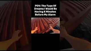 POV: The Type Of Dreams I Would Be Having 5 Minutes Before My Alarm