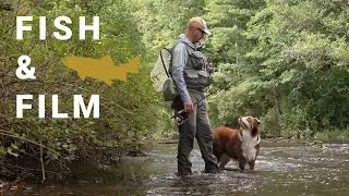 Fish and Film - Post Cicada Blues