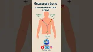 3 Augmented Ecg limb Leads #shorts #nurse #nursingstudent #nursingschool #ecg