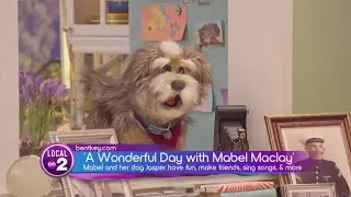 New and creative kid&rsquo;s show is a modern-day Mr. Rogers!