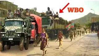 Moha News WBO waraana kuma 3000 fixu 740 bojiu