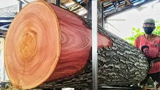 Pink Symphony - Natural Beauty Behind 🌲mahogany trees for high quality boards