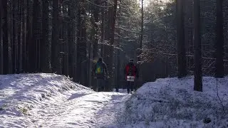 Winter camp and trekking: inside the magic forest #trekking #поход #тур