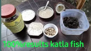 katla fish ke liye super Special fish attraction bait and chara||part 2