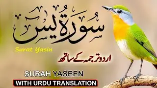 Surah Yaseen with Urdu Translation | Heart-Touching Recitation by Qari Ismail Al Nouri | Episode 300