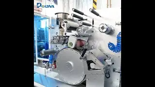 POLYVA DS-160 Small Laundry Pods Packaging Machine For Powder