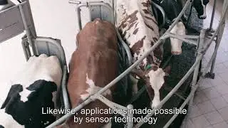 Agrotechnology from Finland – Efficient livestock solutions (with English subtitles)