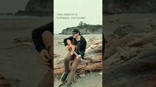 Just a guy singing on a washed up tree at the beach. No big deal.