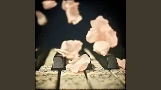 Floating Silence