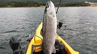 KAYAK TROLING - Тролинг на пъстърва с каяка на яз. Доспат на 23.09.2017 г.