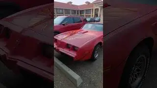 Pontiac Trans am walk around. #streetwheelers #pontiac #cargirl #walkaround