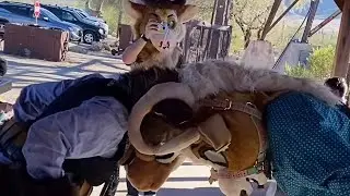 Bizarre Mating Ritual: r/furry_irl
