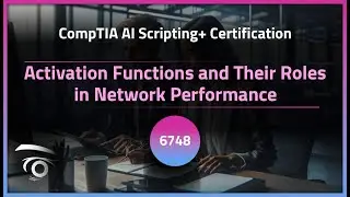 Activation Functions and Their Roles in Network Performance | Exclusive Lesson