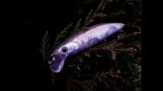 Видеообзор воблера Lucky Craft Flash Minnow 110 специально для Fmagazin