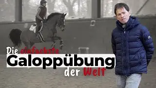 Die einfachste Galopp&uuml;bung der Welt f&uuml;r mehr&nbsp;Rhythmus & Rittigkeit 🐎