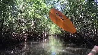 Kayaking in Oleta River State Park, North Miami