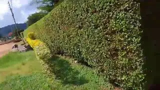 Million 200 kimiroko ubuso 900 kuri kaburimbo Hafi na kepla school