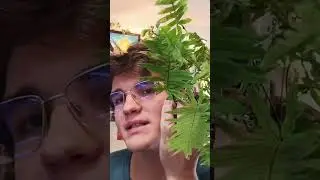 Полное видео уже на канале
