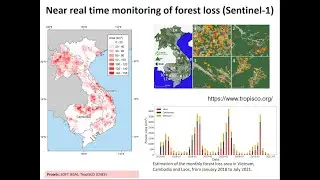 Monitoring changes in rice fields and forests by analyzing free satellite data - Alexandre Bouvet