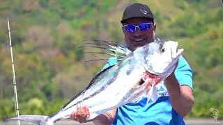Los Buzos Fishing January 2017