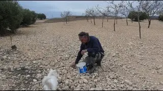 Building a home using nature's materials - 150 year old Spanish Finca restoration