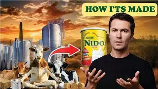 HOW IT&rsquo;S MADE MILK POWDER: FULL INDUSTRIAL PROCESSING LINE