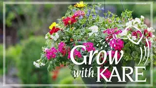 Grow with KARE: Hanging baskets