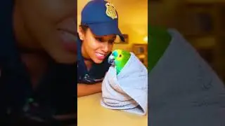 A Parrot Roasting a Police Officer 😂  Full Comedy