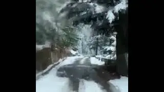 SnowFall - Hamta Pass (Manali)
