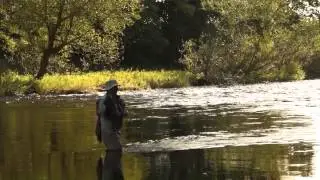 Grayling Fly fishing part 2.  Dry fly delight