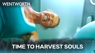 The Top Dog Is Making Moves - Wentworth Season 5 Episode 12