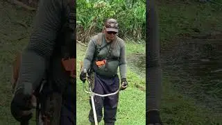 17 de dezembro de 2025