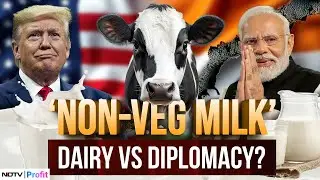 India-US Trade Talks: Dairy Disputes & the 'Non-Veg Milk' Controversy