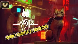 Stray Chapter 3 | Rooftops | A Cat Game Walkthrough | No Commentary