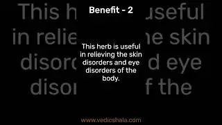 Changeri Herb Benefits Hacks That Everyone Should Know